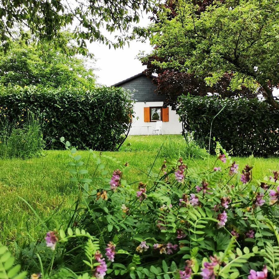 BB19 Eifel-Ferienhaus am Moseltal mit Saunahaus Beuren  Exterior foto